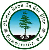 town of Summerville link as a resource on Dorchester Seniors website